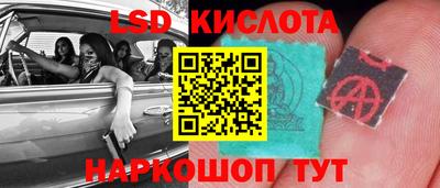 гидропоника Тверь