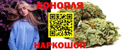гидропоника Тверь