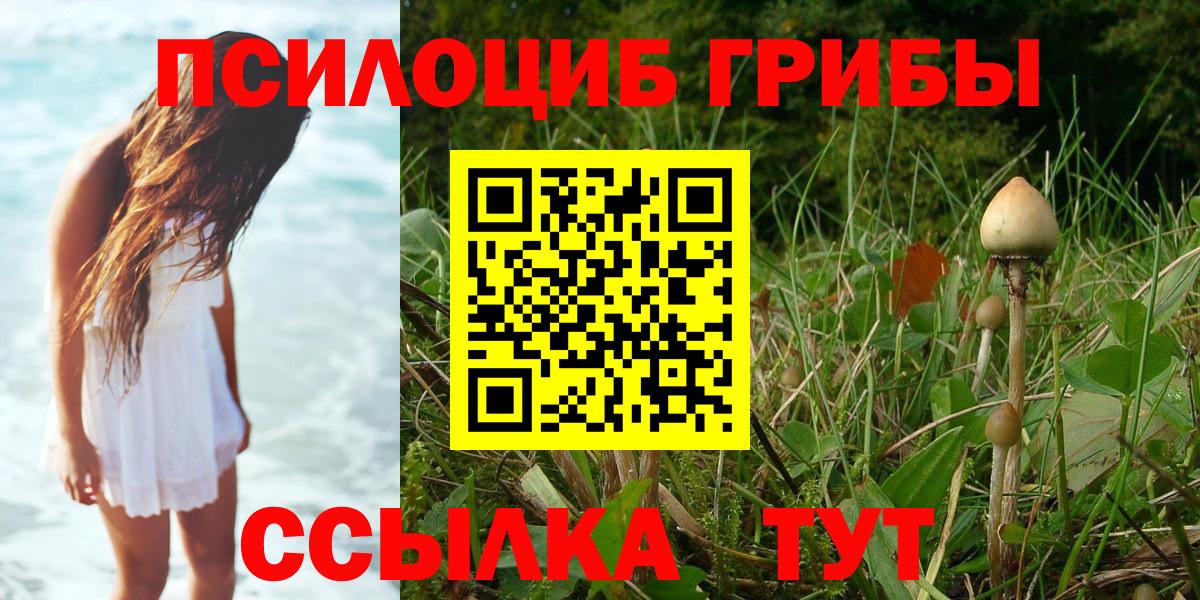 Галлюциногенные грибы Psilocybe  купить наркотик  Нальчик  Вход с VPN 